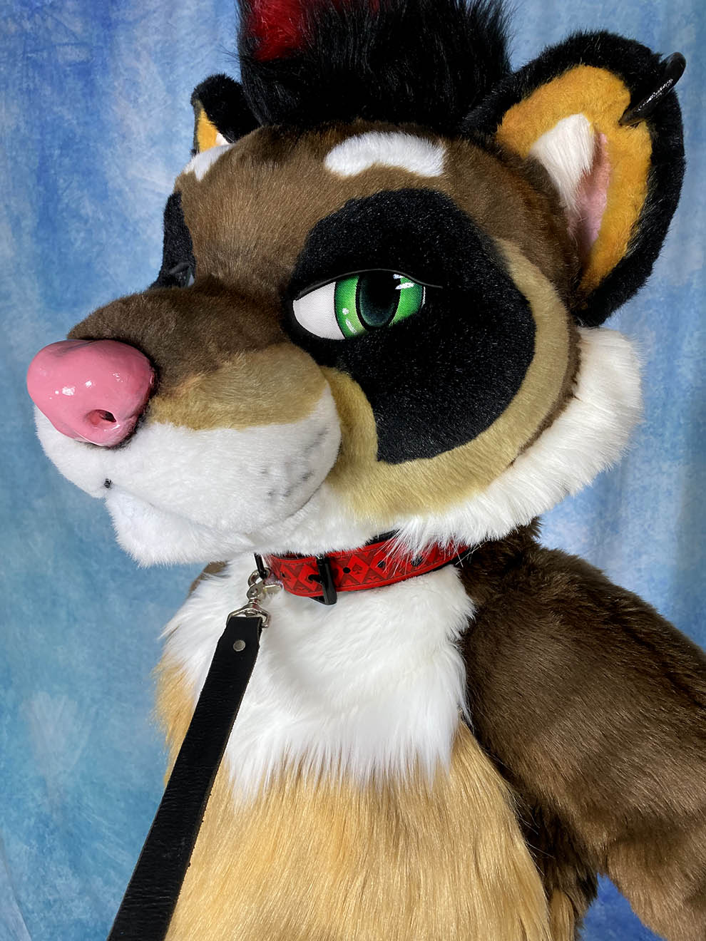 Custom Designed Full Leather Collar