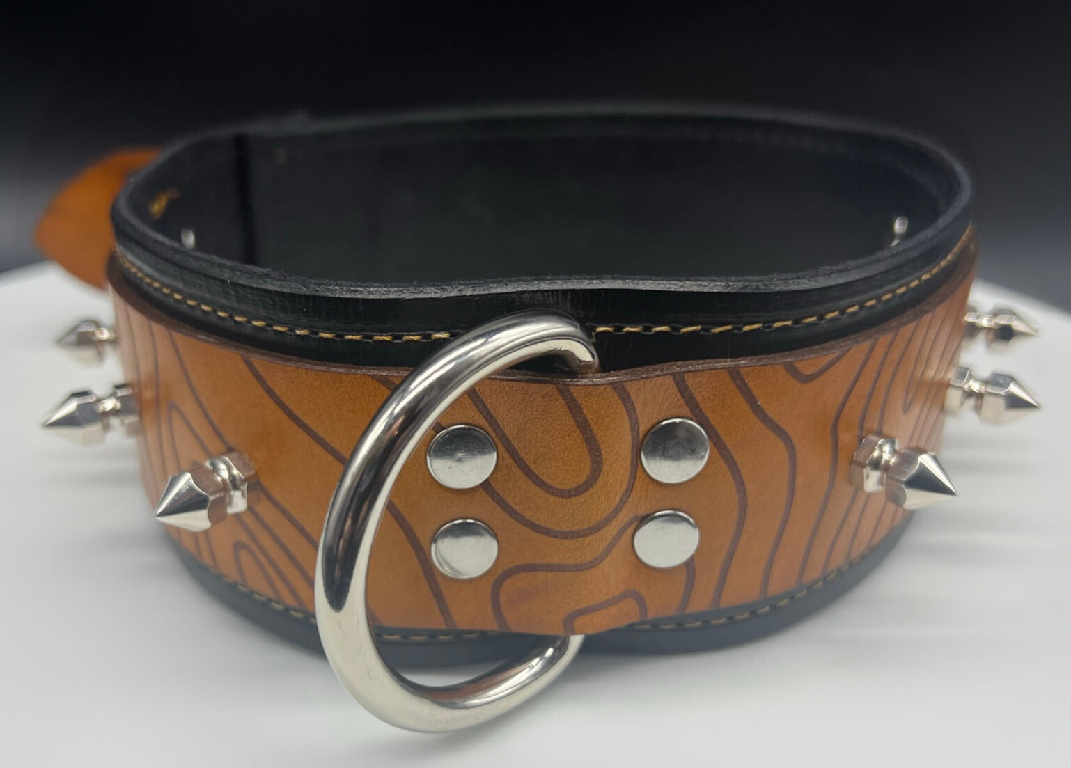 Custom Designed Full Leather Collar