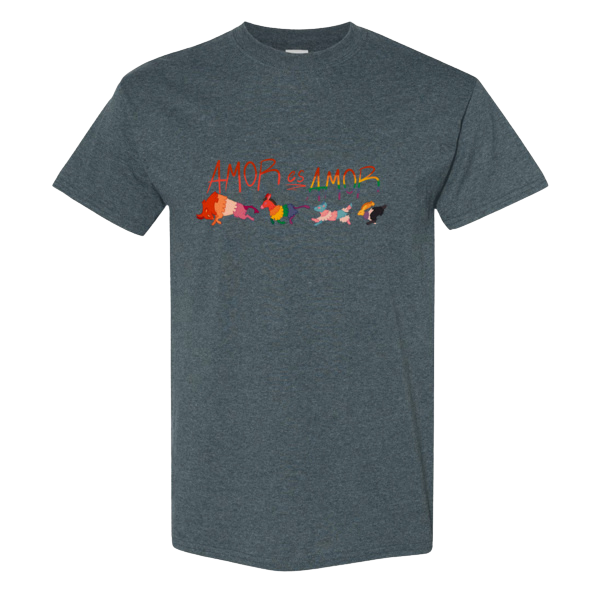 Amor es Amor Pride T-Shirt Dark Heather