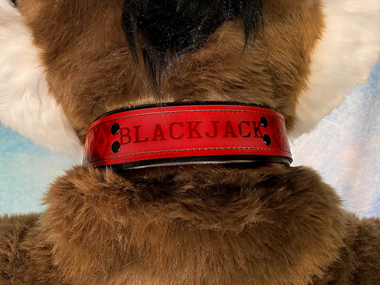 Custom Designed Full Leather Collar