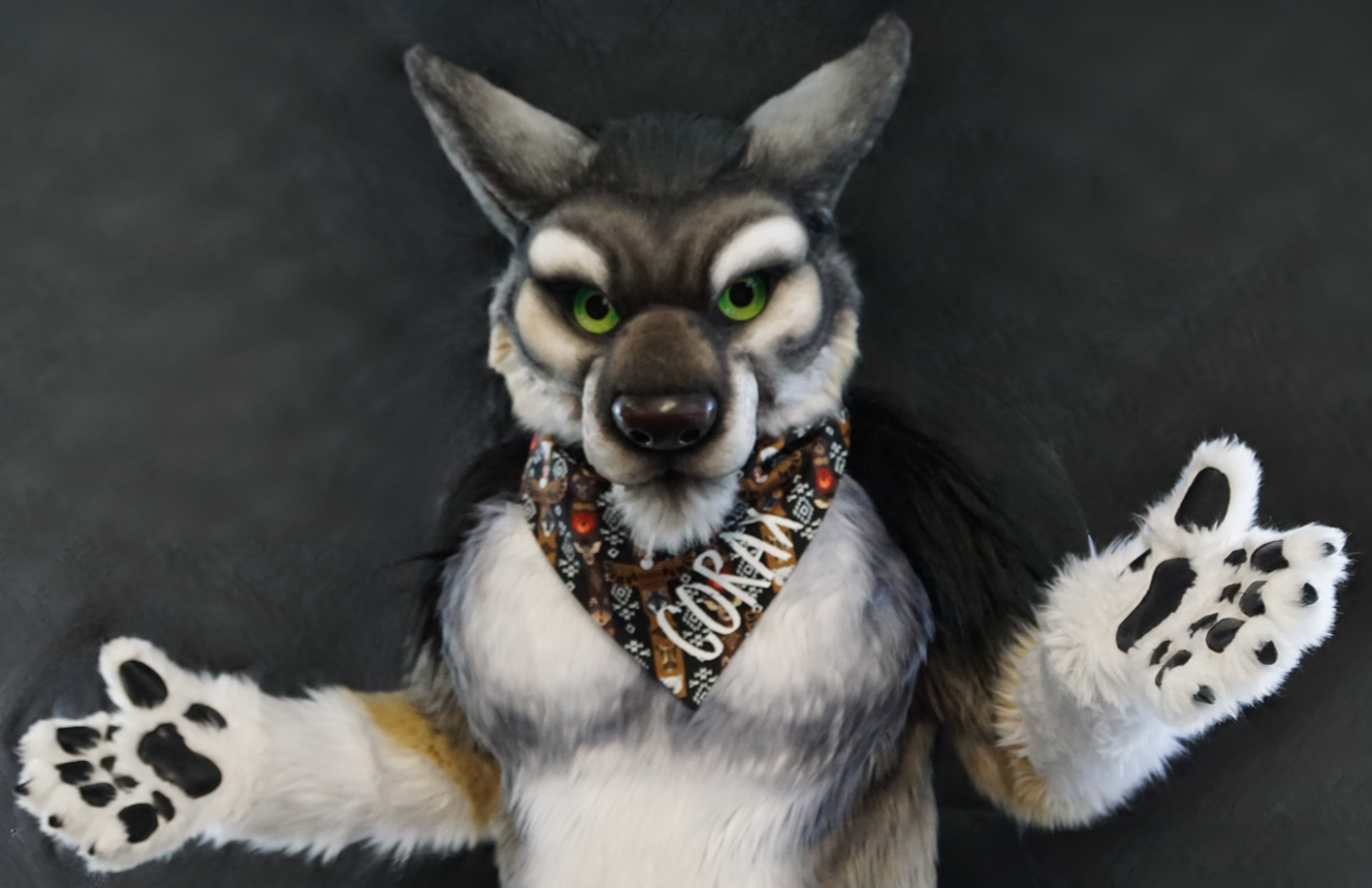 Timber Wolf Trading